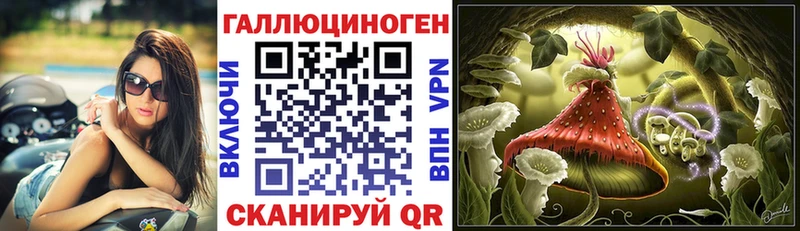 Псилоцибиновые грибы прущие грибы  Спасск 